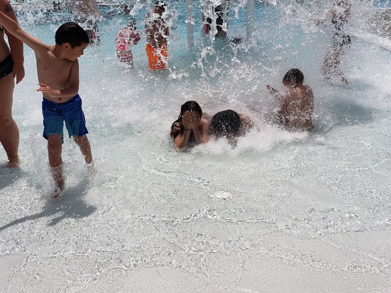 Lily Pads and Aquatic Obstacle Fun