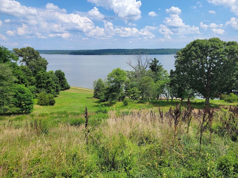 Little Mountain Park