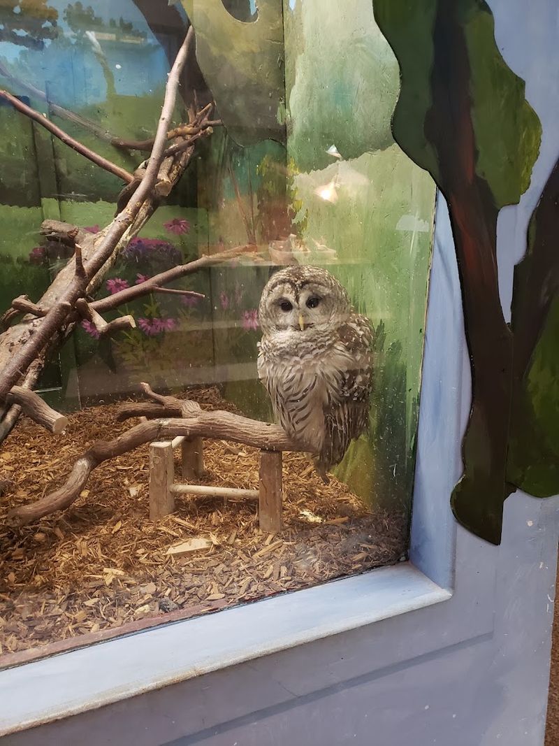 Live Animal Encounters That Kids Absolutely Love