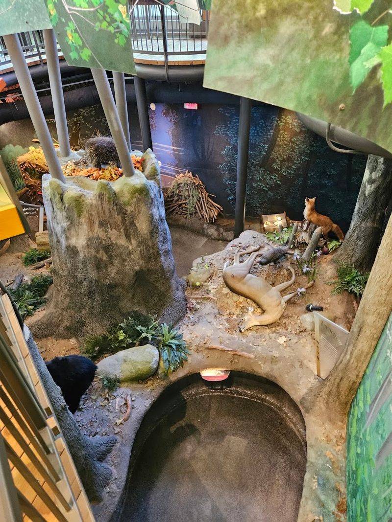 Live Animal Shows with Turtles and Snakes