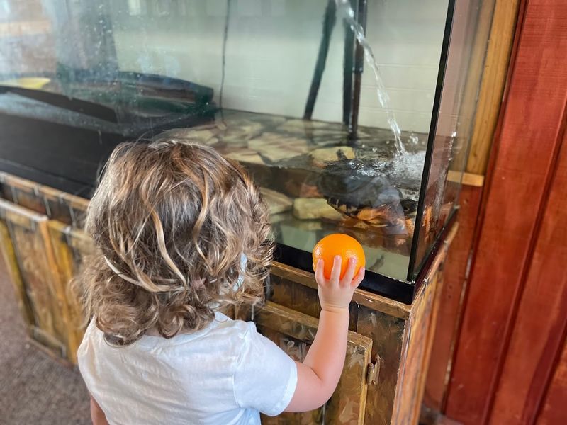 Live Animals That Kids Can Actually Meet Live Animals That Kids Can Actually Meet