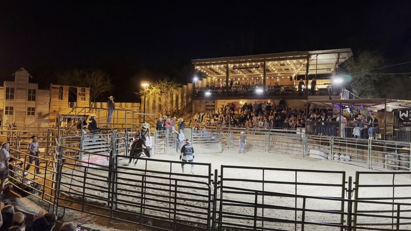 Live Bull Riding Nights Live Bull Riding Nights