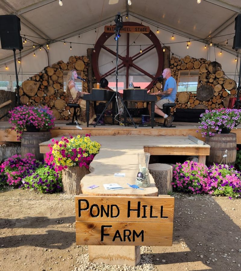Live Music That Sets the Perfect Mood