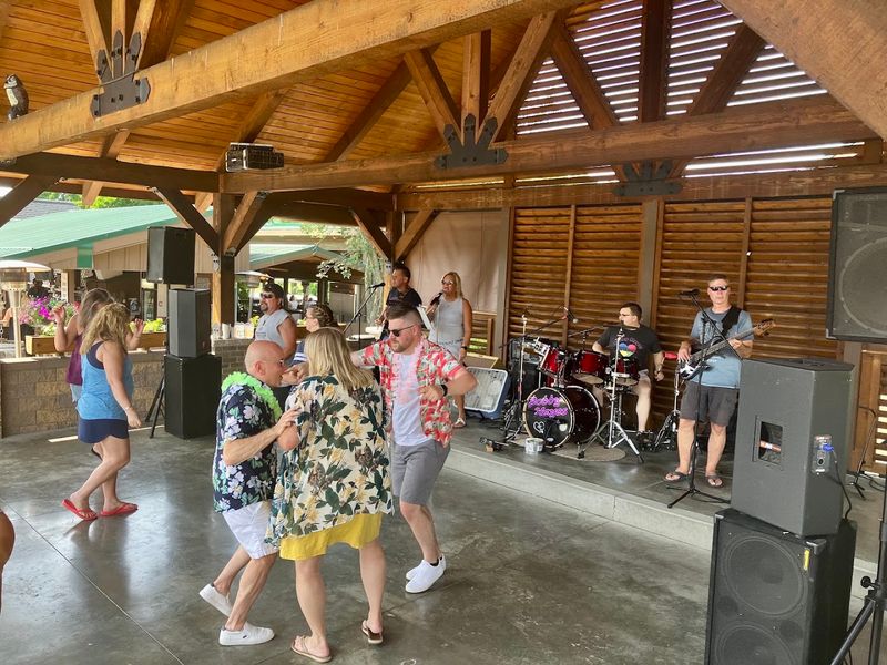 Live Music That Sets the Perfect Mood