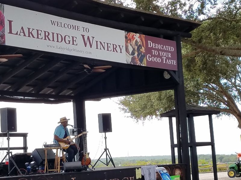 Live Music That Transforms the Vineyard Into a Party