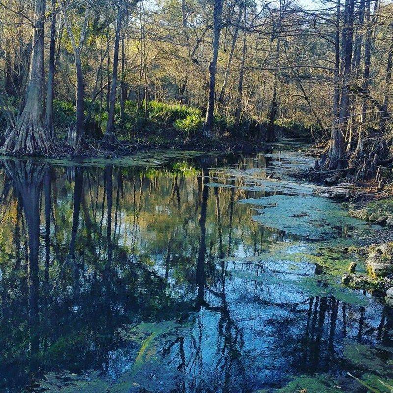 Live Oak, Florida