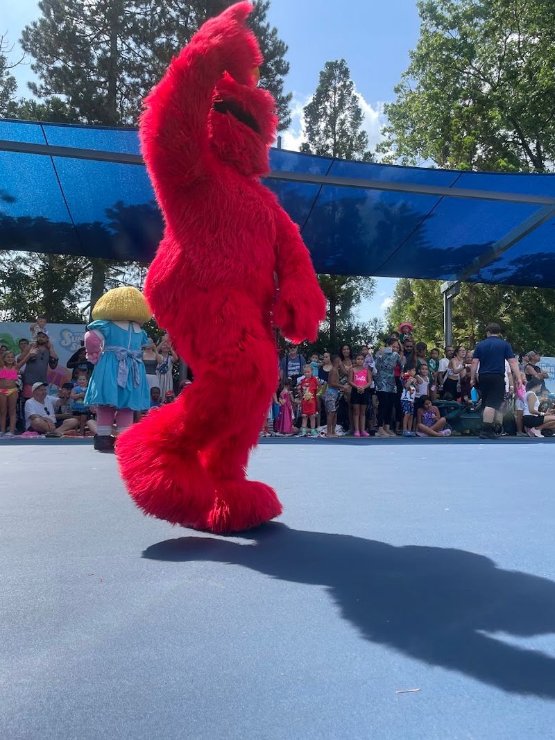 Live Shows and Entertainment on the Sesame Street Stage