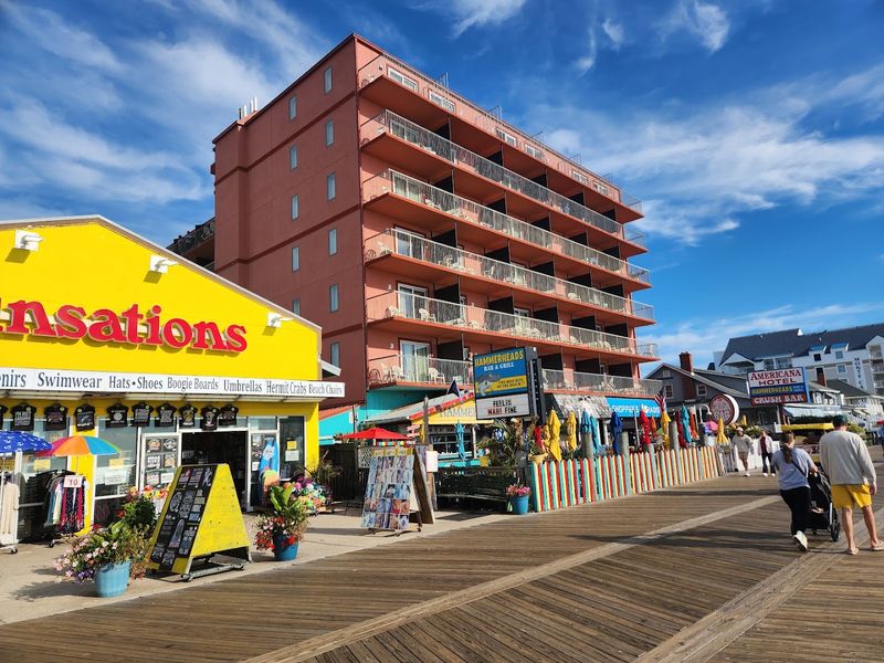 Lively Shops and Souvenir Stores Lively Shops and Souvenir Stores