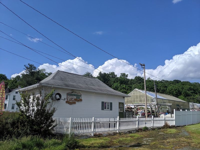 Local Dining – Flavors That Feel Like Home Local Dining – Flavors That Feel Like Home