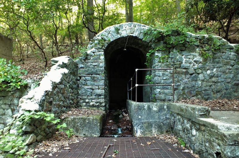 Local Legends and the Mystery of the Missing History