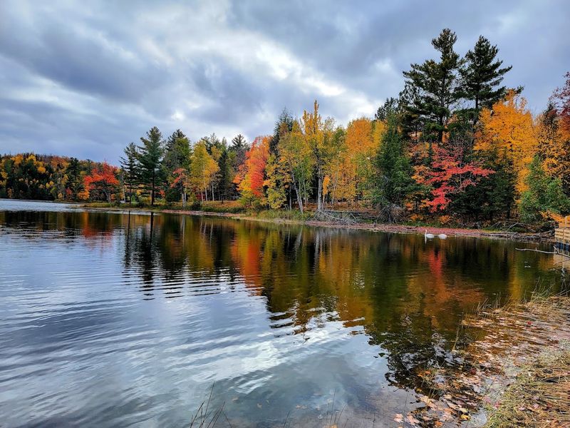Loon Lake: Swimming, Floating, and Pure Relaxation
