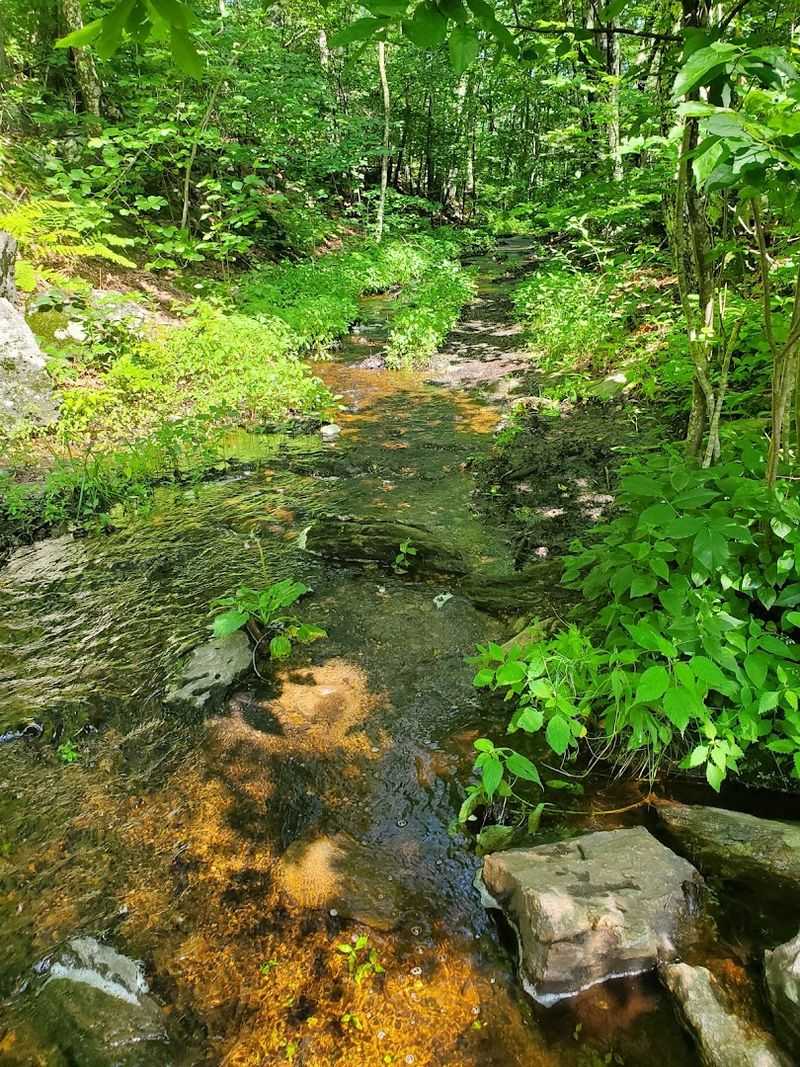 Loop Trail Options and Exploring Beyond the Falls