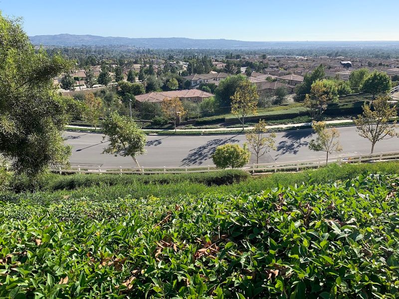 Low Traffic and Easy Commute Access