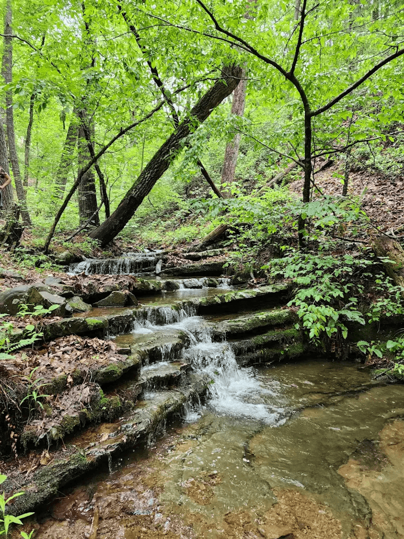 Lower Waterfall: A Gentle Beauty Worth Every Step