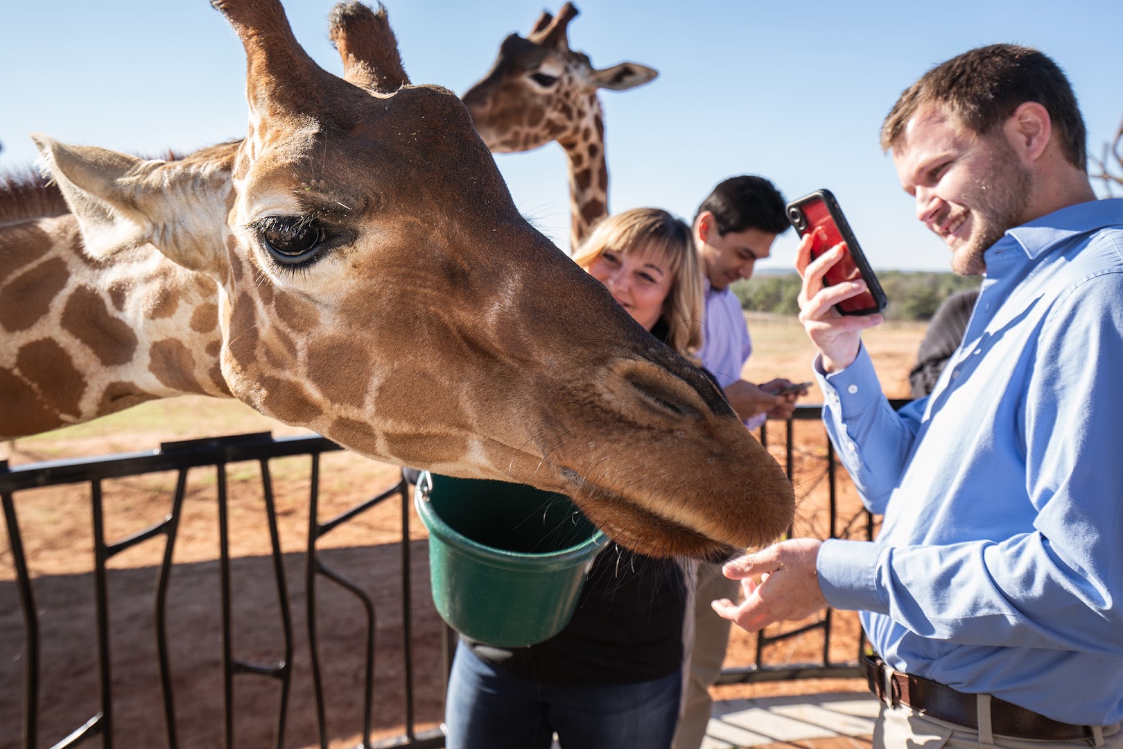 Lunch With Giraffes: A Daytime Tour Option