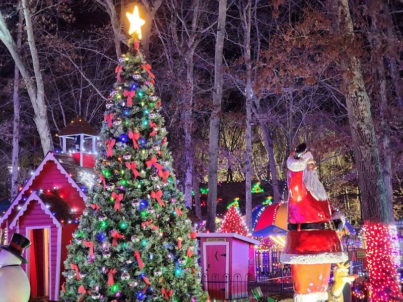 Magical Christmas Celebrations That Transform the Entire Park
