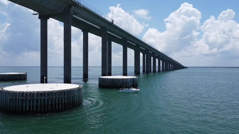 Marine Life and Boat Traffic That Keeps the Water Alive