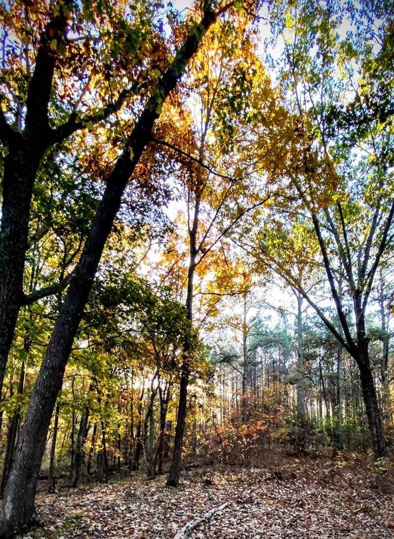 Marion County's Quiet, Peaceful Atmosphere Marion County's Quiet, Peaceful Atmosphere