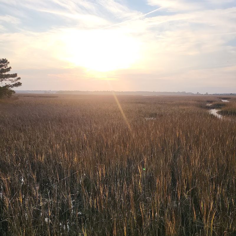 Marsh Views That Stop You Mid-Step Marsh Views That Stop You Mid-Step