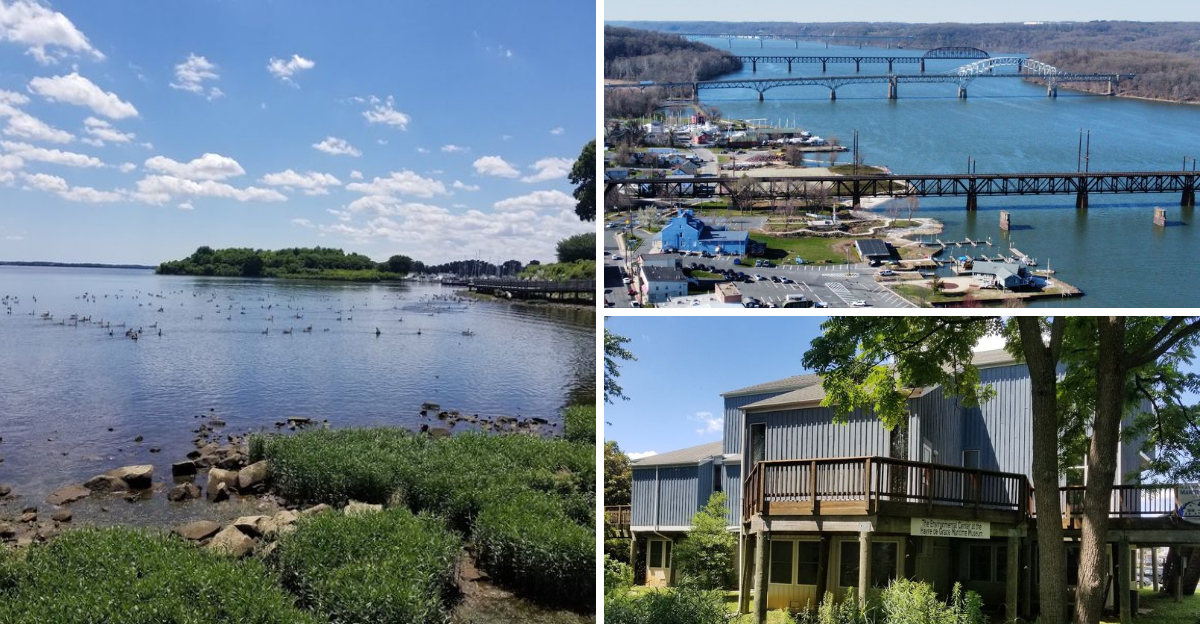 Maryland Earned The Title Of Decoy Capital Of The World And The Story Behind It Is Fascinating