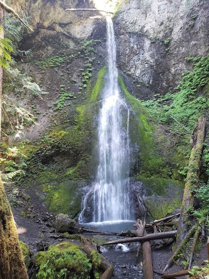 Marymere Falls: A Beginner-Friendly Hike Worth Every Step