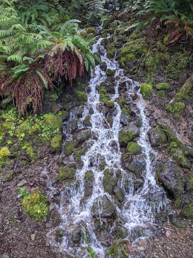Marymere Falls — A Hidden Waterfall Reward Marymere Falls — A Hidden Waterfall Reward