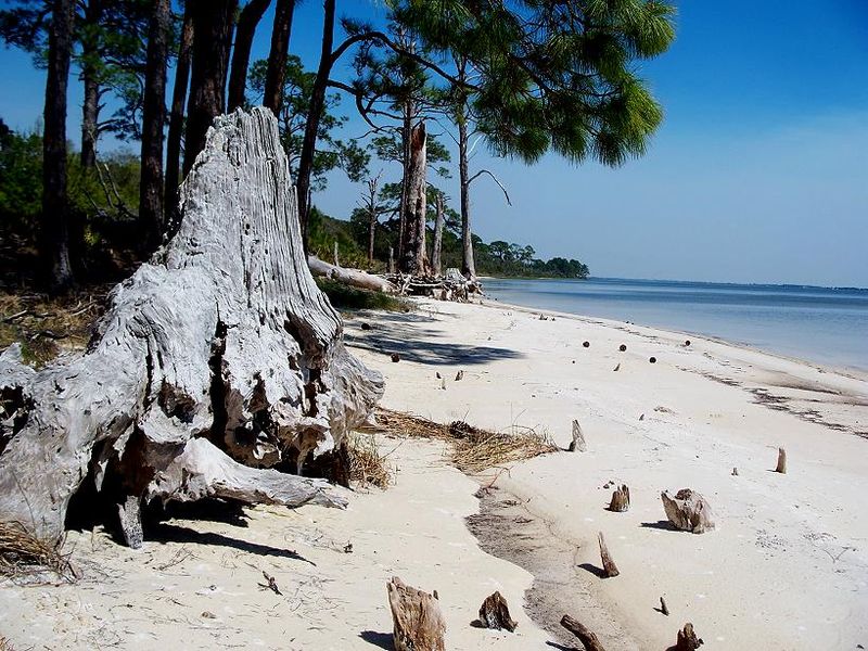 Mashes Sand Nature Trail and Surrounding Wilderness