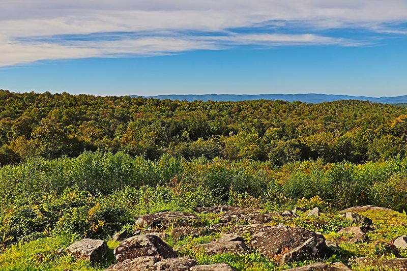 Massachusetts' Largest State Forest