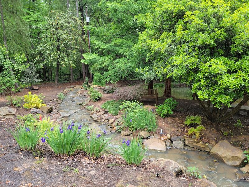 Mature Trees and Rare Specimen Plants That Plant Lovers Will Adore