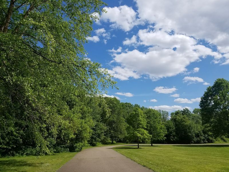 McLaughlin Reservation: Trails With a View