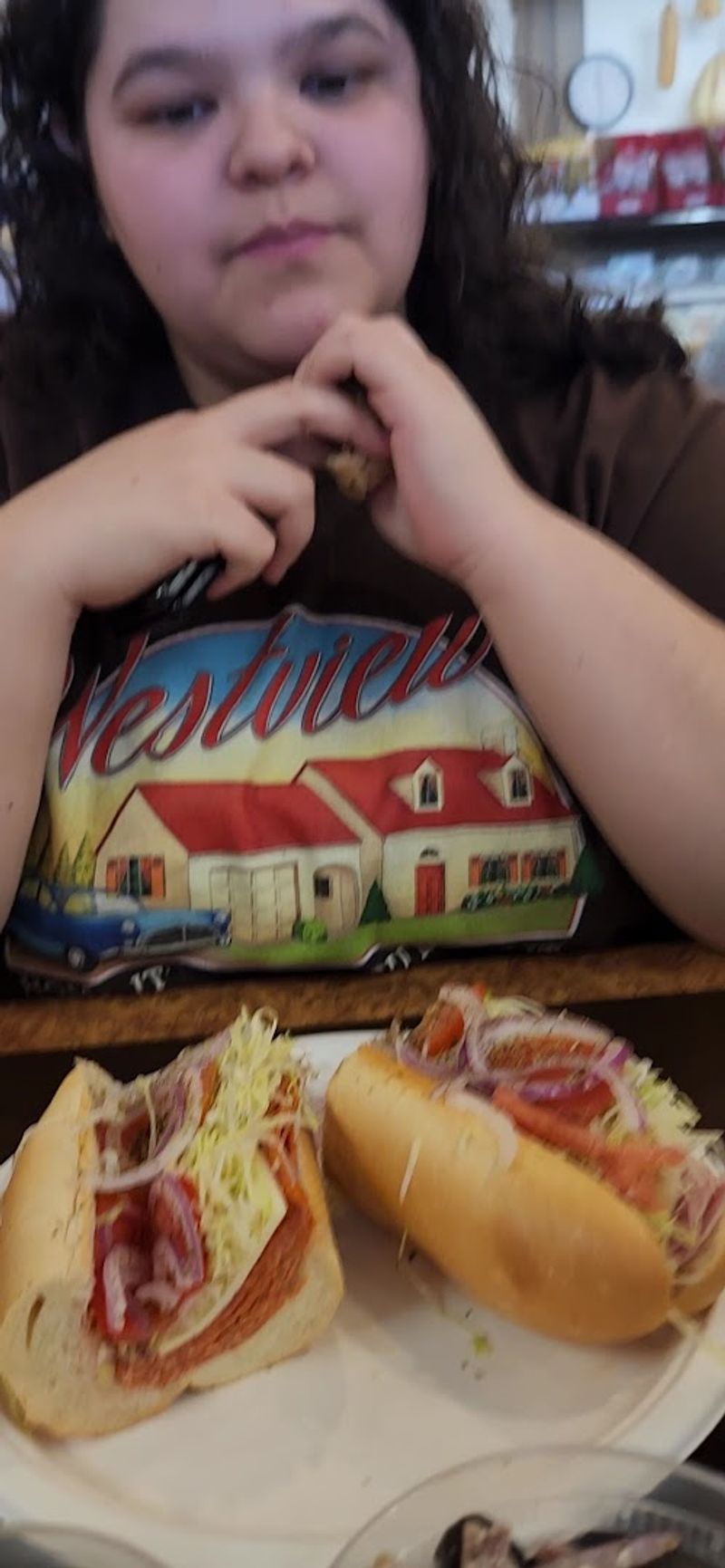 Meatball Sub Loaded Beyond Expectation Meatball Sub Loaded Beyond Expectation