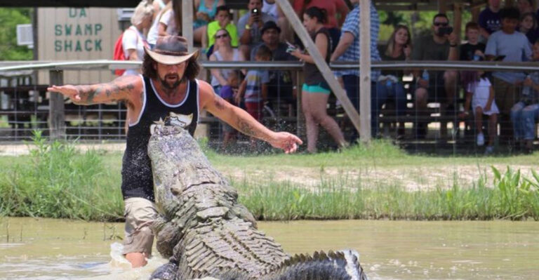 Meet Gators Up Close At This Family-Friendly Texas Park And Restaurant