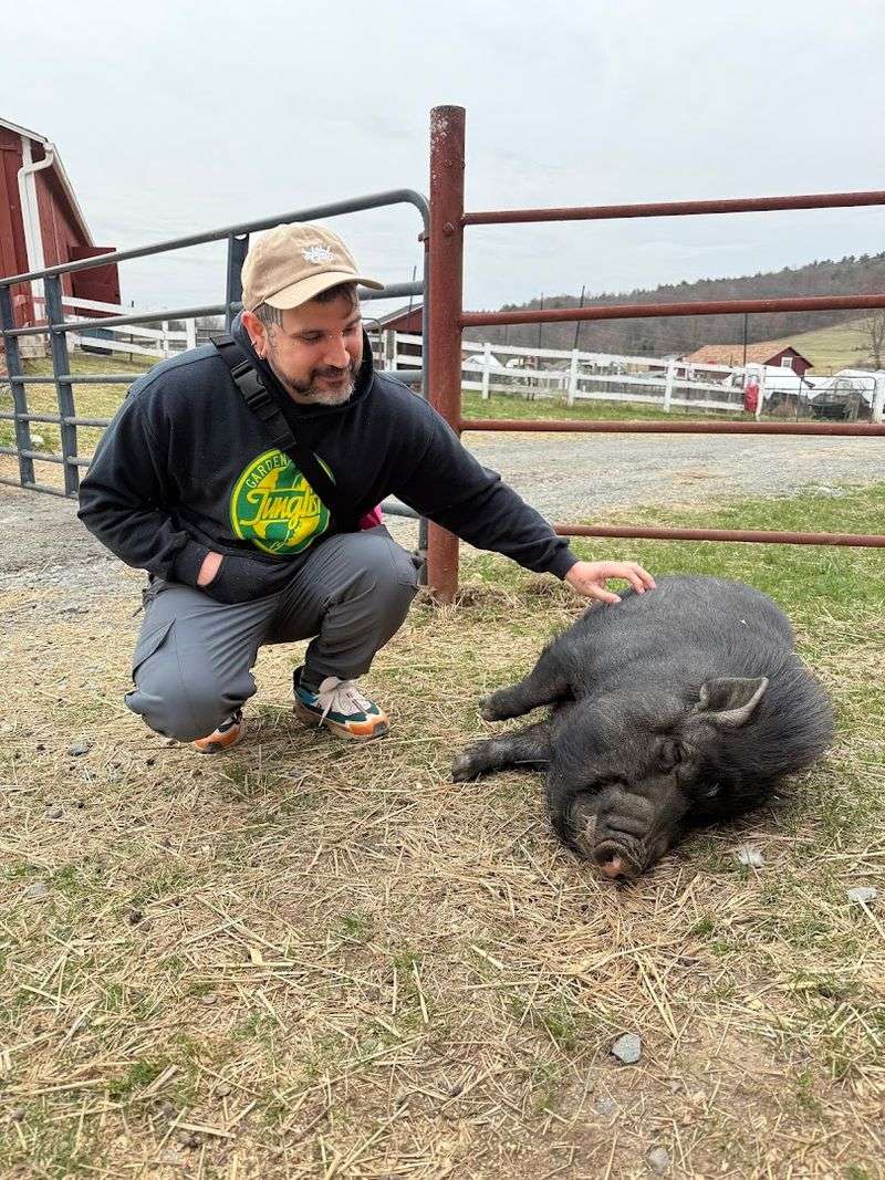Meeting Vinny the Pig and His Friends Up Close