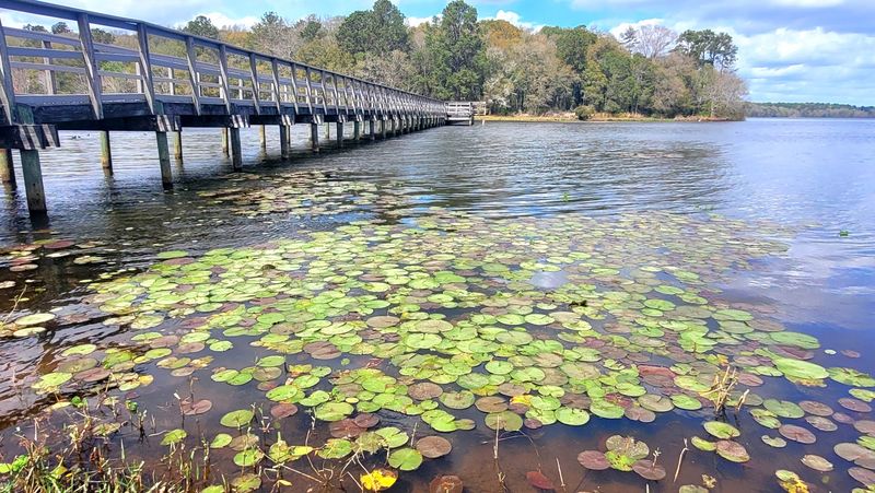 Memorial Island: The Park's Most Enchanting Surprise Memorial Island: The Park's Most Enchanting Surprise