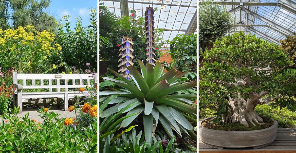 Michigan Is Home To A Beautiful Botanical Garden You Can Visit Completely Free
