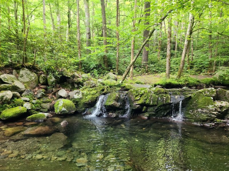 Midnight Hole Swimming Spot Worth Every Step Midnight Hole Swimming Spot Worth Every Step