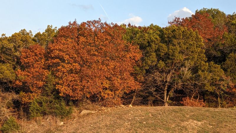 Mild Winters Make Year-Round Living Comfortable Mild Winters Make Year-Round Living Comfortable