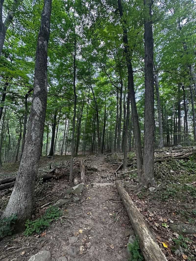 Miles of Hiking Trails for Every Skill Level