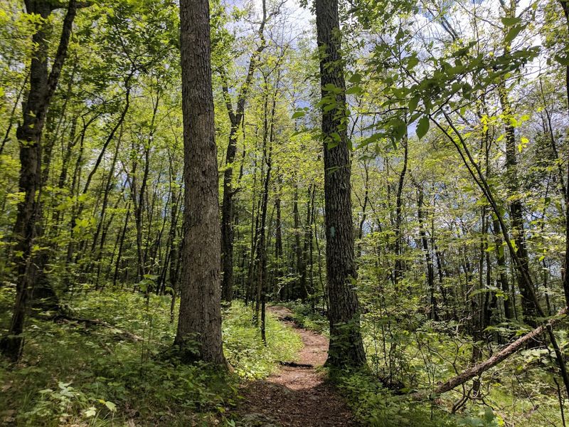 Miles of Hiking Trails for Every Skill Level Miles of Hiking Trails for Every Skill Level