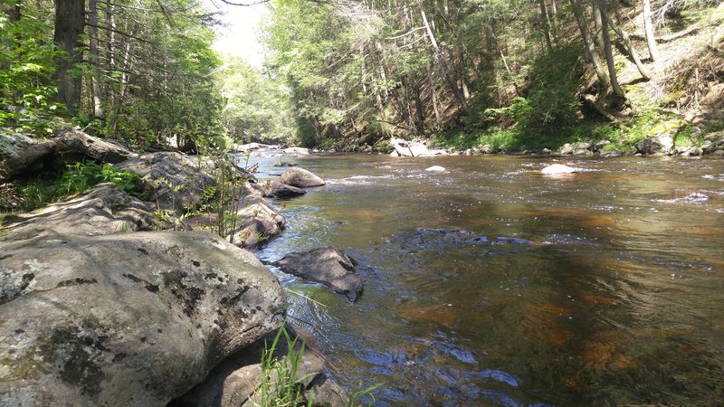Miles of Scenic Hiking Trails