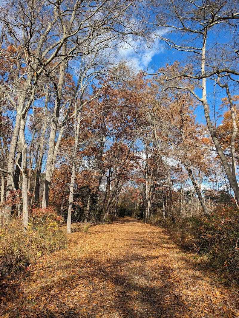 Miles of Trails Perfect for Biking and Walking