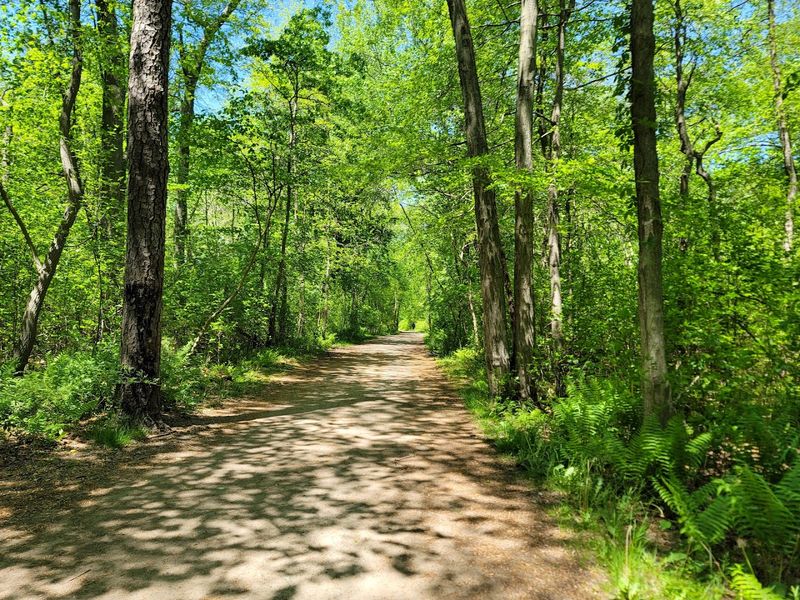 Miles of Trails Through Woods and Open Fields