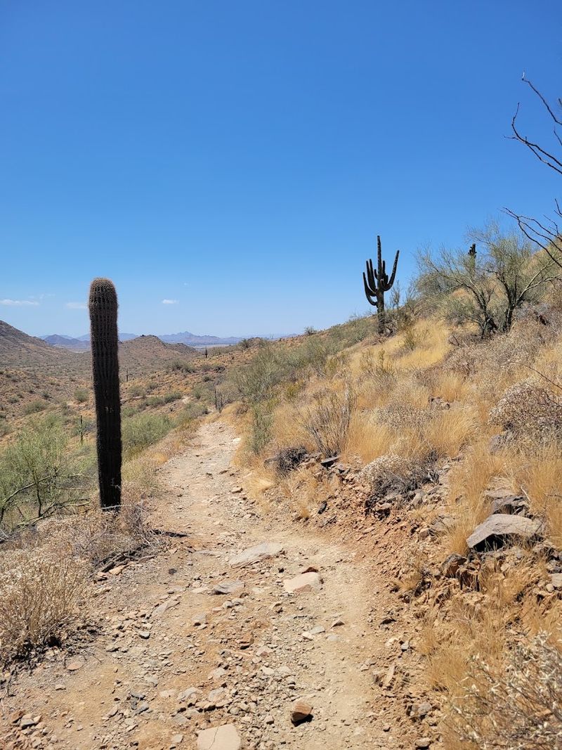 Miles of Trails for Every Fitness Level