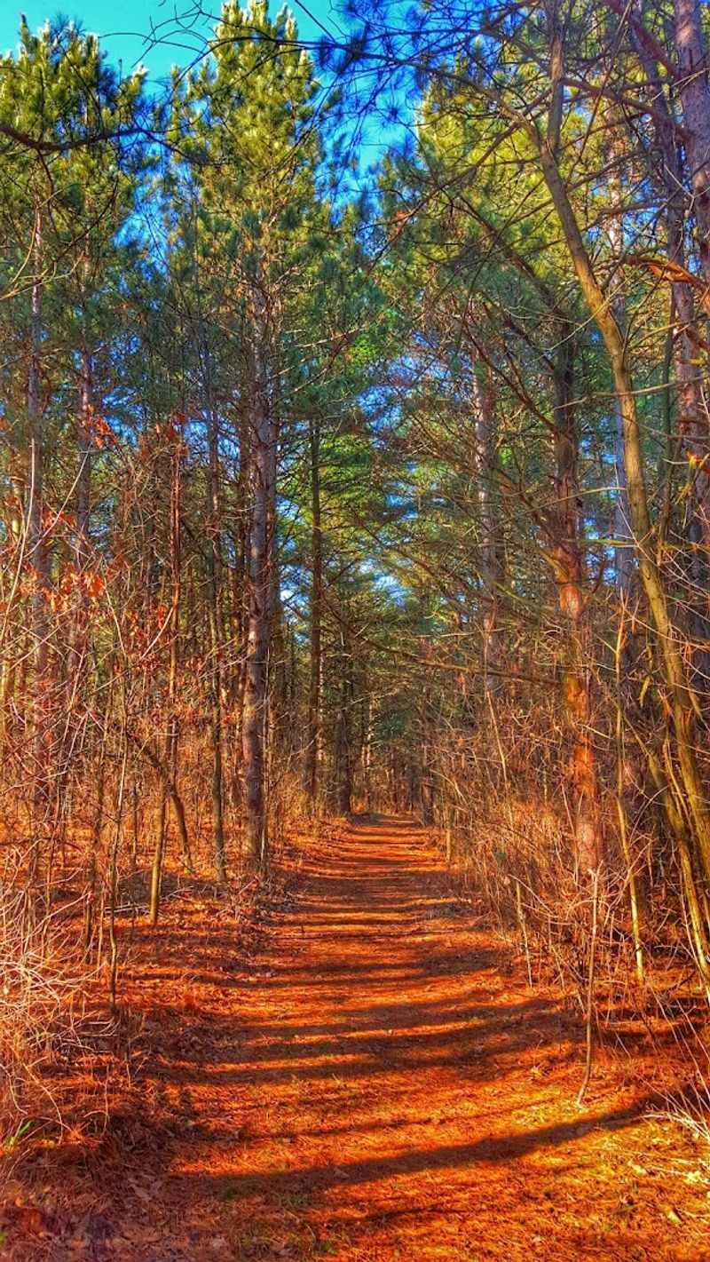 Miles of Well-Maintained Hiking Trails