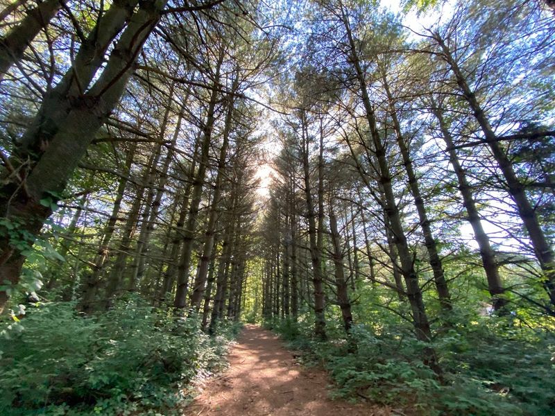 Miles of Well-Maintained Hiking Trails for Every Skill Level Miles of Well-Maintained Hiking Trails for Every Skill Level