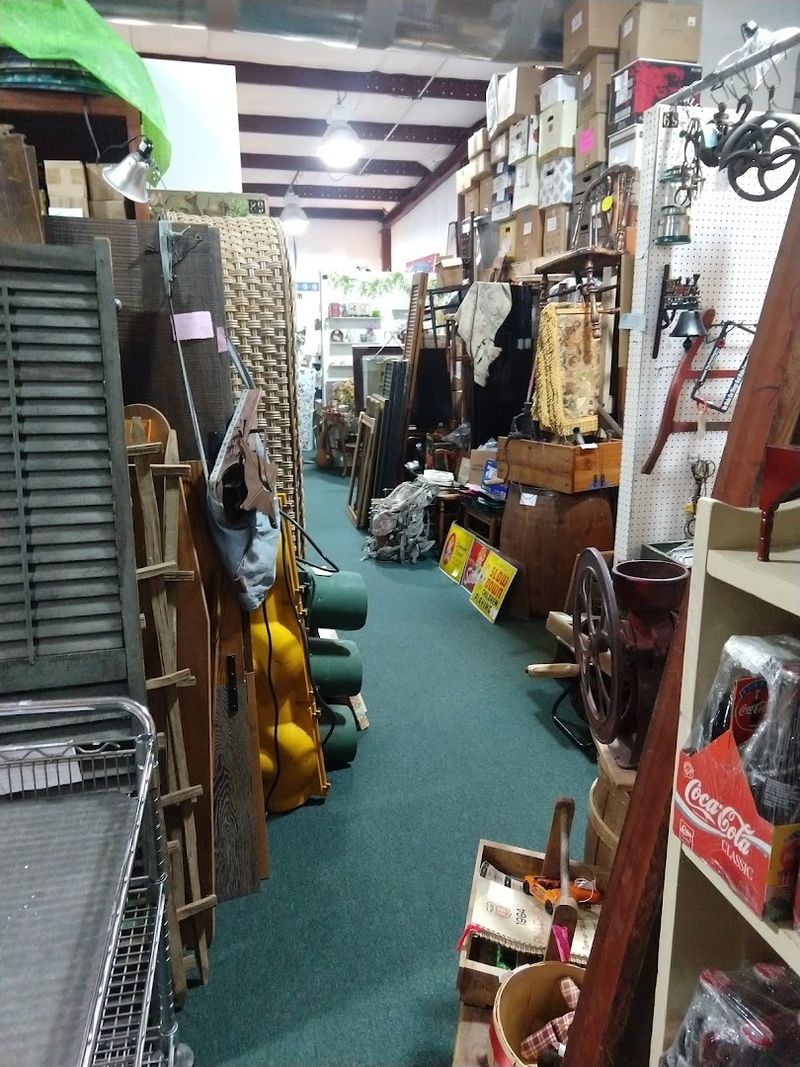 Military Collectibles and Historical Artifacts for History Buffs