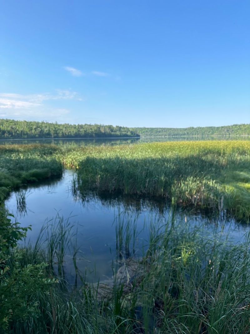Mississippi River Overlook: A Hidden Historical Gem