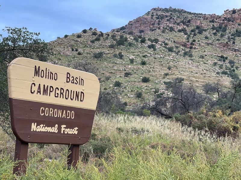 Molino Basin Campground - Tucson, Arizona