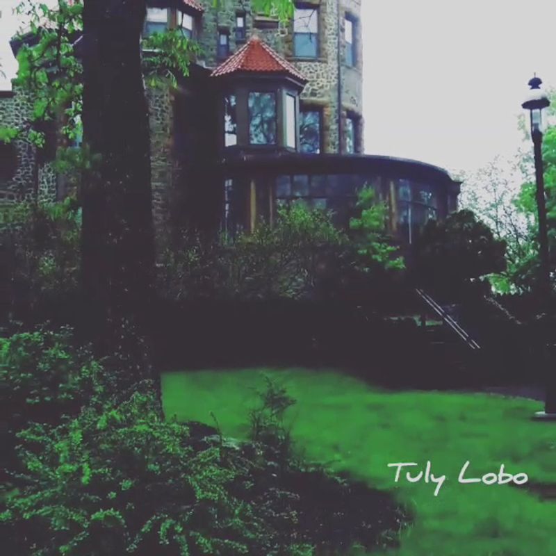 Moody and Mysterious Rainy Day Vibes