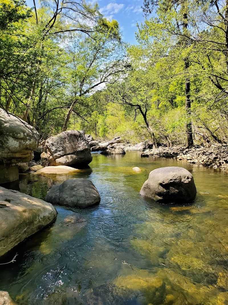 Morgan's Cove — Fishing and Creek Adventures
